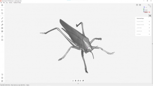 Digitise at a microscale 3d scanning data